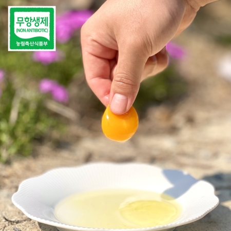 난각번호 1번 무항생제 자연방목 유정란 20구 자연방사유정란 계란 달걀