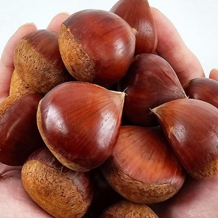 국내산 햇밤 특품 1kg,2kg,3kg,5kg  - 산지직송 26년 햇밤 -(부여 산지직송)