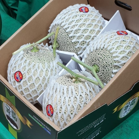 [이가네과일야채] 달고 맛있는 메론 1과 2kg 내외