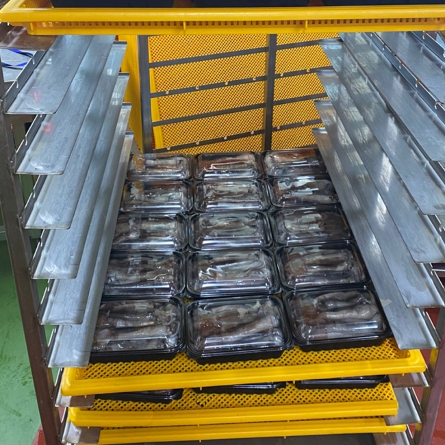 국내산 생물 급냉 통찜용오징어 1kg (7-8미) /2kg (14-16미)