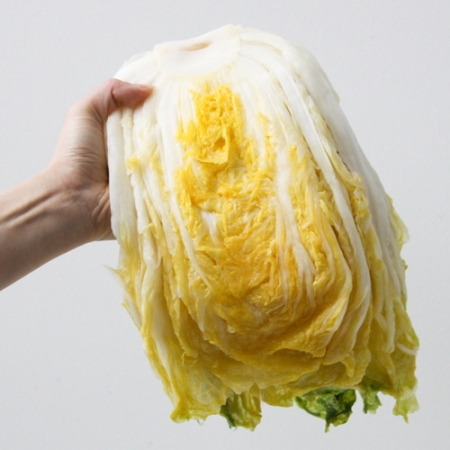 [예약배송] 강원도 평창 고랭지 절임배추 김장배추 20kg (9-13포기 내외)