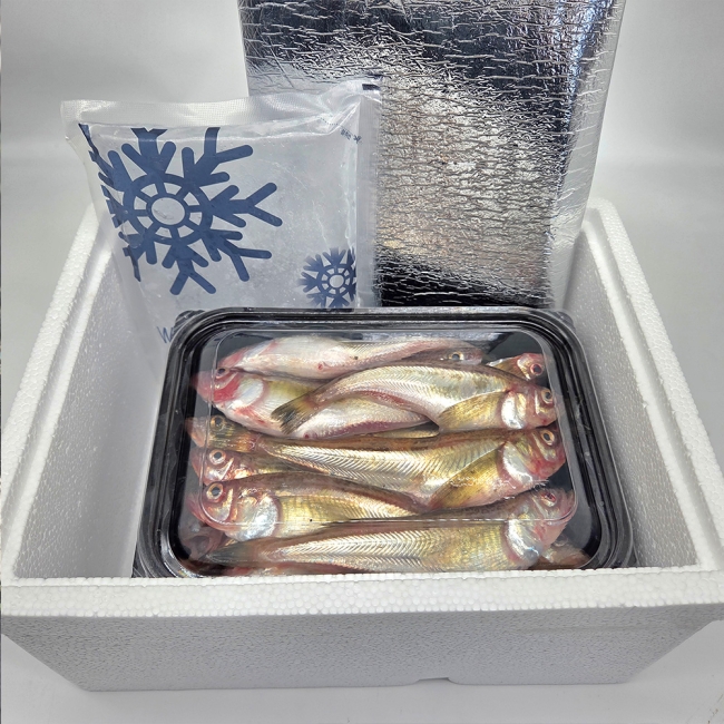 동해안 도루묵 1kg x 1팩 / 2팩