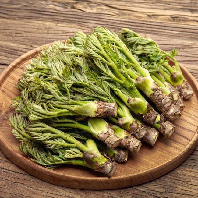 참두릅 300g / 500g / 1kg / 1.5kg / 2kg