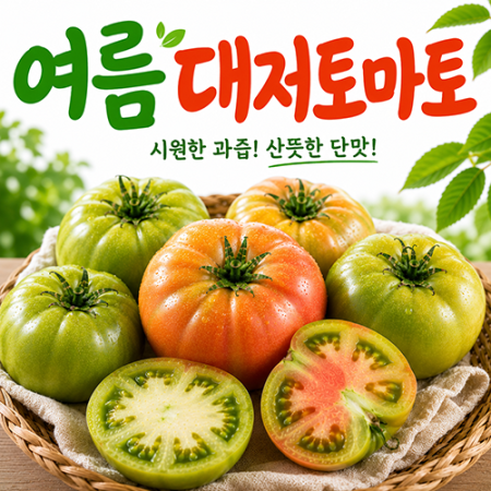 ★부산 대저농협★ 여름대저토마토