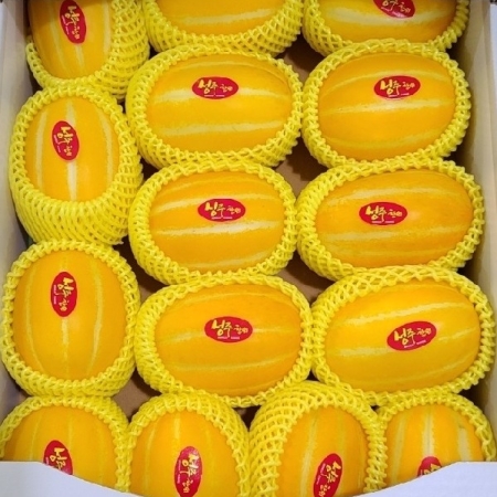 [고흥청과]가락시장직송 참외2kg/3kg/5kg/10kg