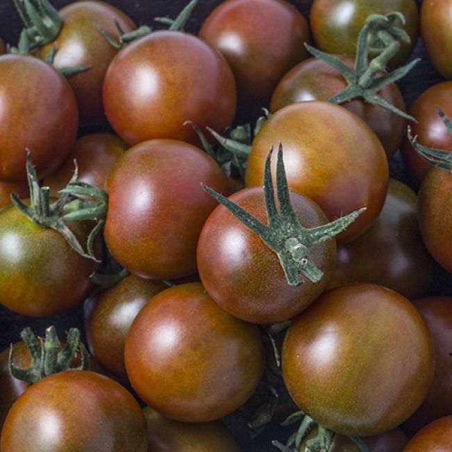 흑대추방울토마토 500g/ 1kg / 1.5kg/ 2kg