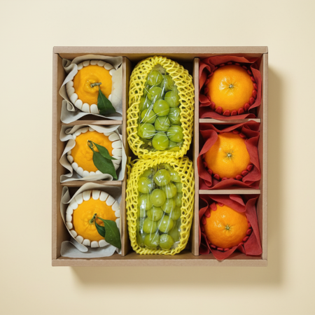 알찬 한라봉/레드향/샤인머스켓 세트 (보자기포함)