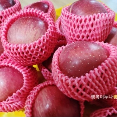 [정품] 판매량이 많은 인기있는 경북 부사 꿀 햇사과 1.5kg/ 2kg/3kg/5kg