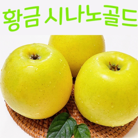 ★25년 수확★시나노골드 사과 2~5kg