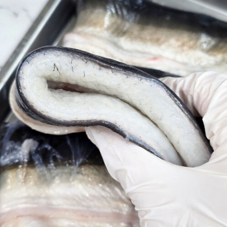 [자포니카] 민물장어 손질전 1kg [손질후 750g내외][소스2종/초생강증정]