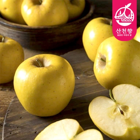 [산천향] 안동사과 시나노골드 (정품) 2kg/3kg5kg