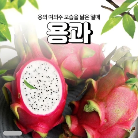 [이가네과일야채]백용과 2.5k내외 4과~6과