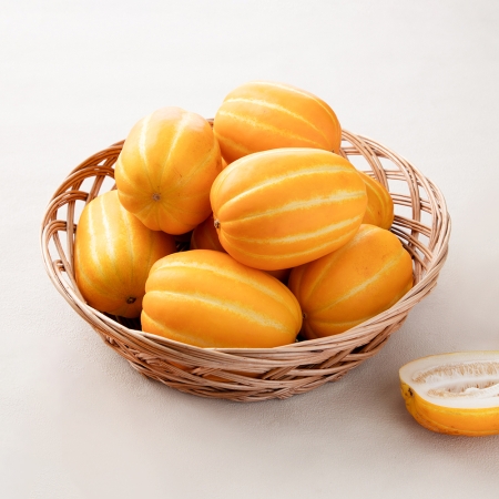 [과일] 과즙가득 수분가득 가정용 성주참외 1kg/2kg/3kg/5kg