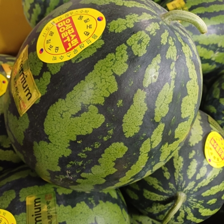 [고흥청과] 가락시장직송 달콤한 수박 5~6kg/7~8kg