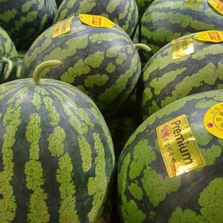 [고흥청과] 가락시장직송 달콤한 수박 5~6kg/7~8kg