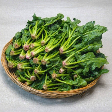 [시금치] 싱싱한 국내산 노지 시금치 남해 시금치 보물초 500g 1kg 2kg 4kg