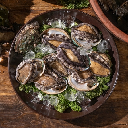 [전복캄스] 완도 전복 참전복 1kg 구이용 찜용 