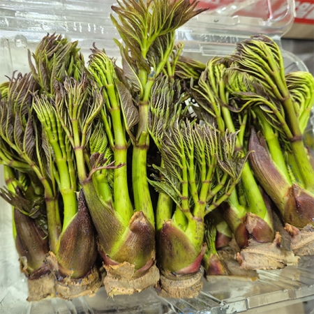 국내산 참두릅(푸)