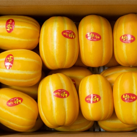 [오커디어] 꿀당도 성주 참외 1.5kg 2.5kg 4.5kg
