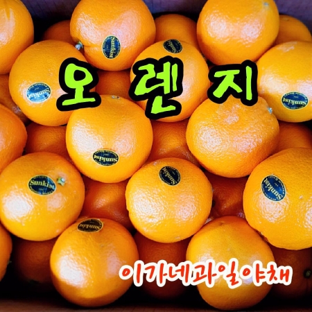 [이가네과일야채]오렌지