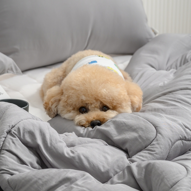 클린 마이크로 모달 차렵이불 침구세트