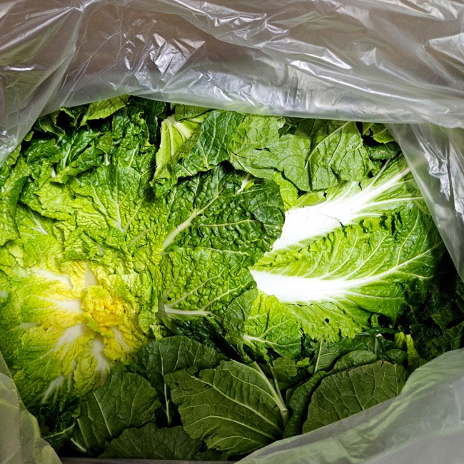 진도해풍봄동1kg(2-6입)/2kg(4-12입)/3kg(10-16입)