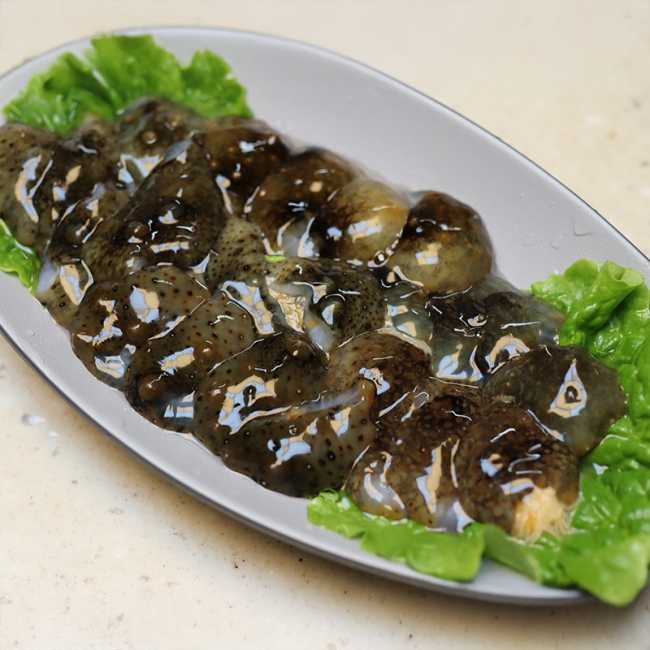 신선한 바다의 맛! 자연산 활 해삼 500g