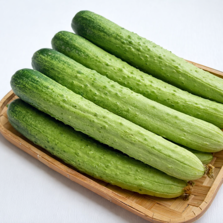 백다다기 오이 2kg/3kg/4kg/5kg/10kg