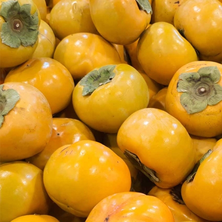 [단감최고] 단맛 진한 단감 2kg 3kg 5kg 제철  단감