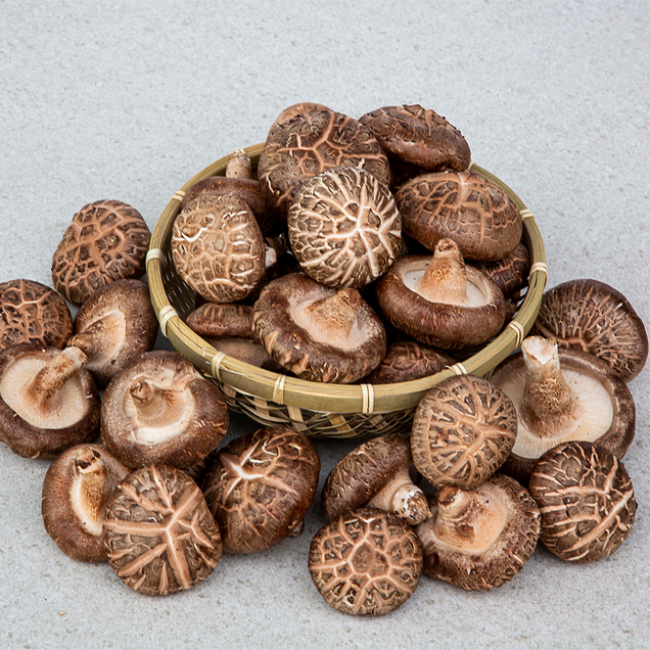 무안 생 표고버섯 _못난이 / 하품 / 상품 / 특품 1kg