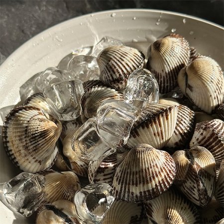 남해 산지직송  새꼬막(푸)