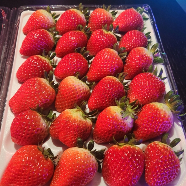 논산 설향딸기 로얄과 350g / 700g