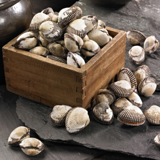 벌교 새꼬막 왕대1kg / 대1kg/ 상1kg/ 중1kg/ 소 1kg