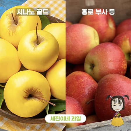 [착한가격]세진이네 과일 맛있는  부사 가정용 / 정품 사과