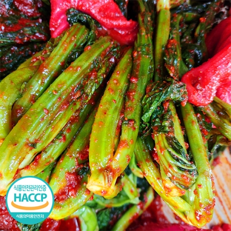 쌉쌀한 맛이 일품인 돌산 갓김치(푸)