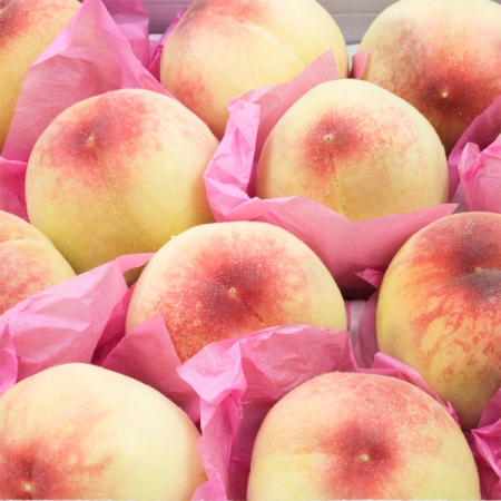 (국내산) -  딱딱이 복숭아  1kg,2kg,3kg,4kg  -  (푸른컴)