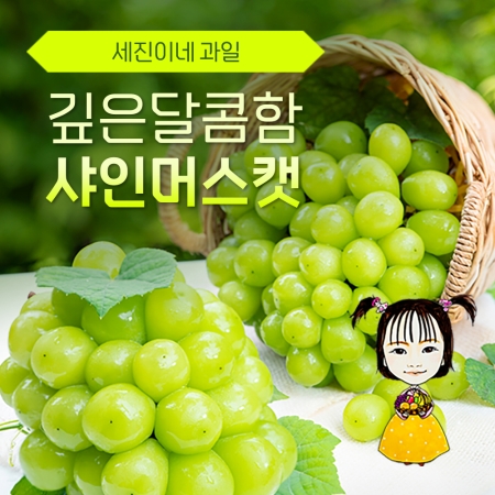 [착한가격]세진이네 과일 고당도 샤인머스켓 