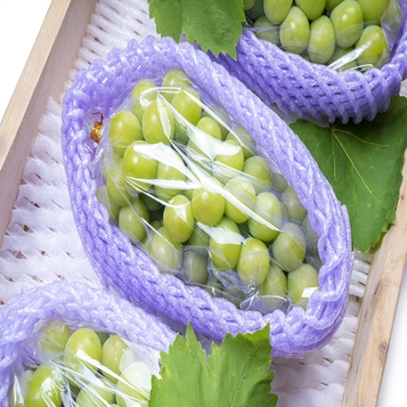 [착한가격]세진이네 과일 고당도 샤인머스켓 