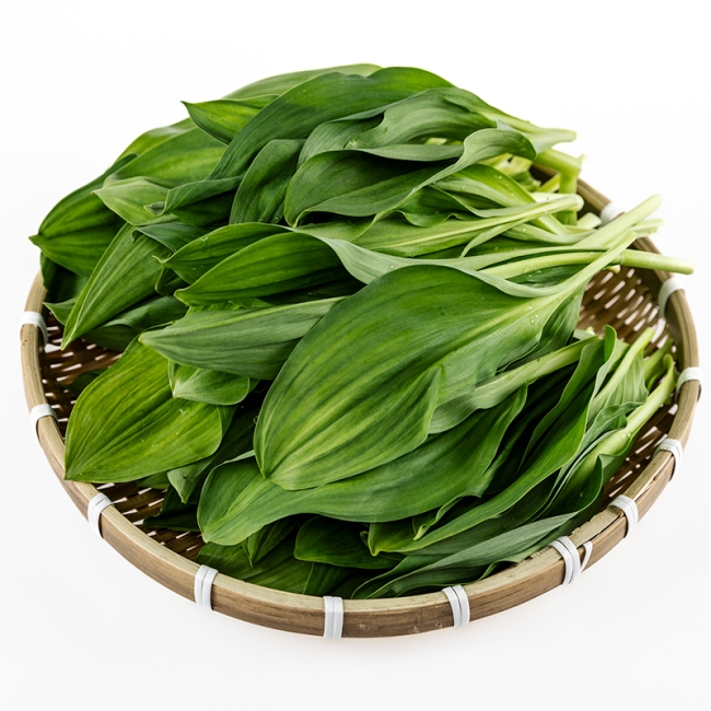 명이나물 500g / 1kg / 2kg / 3kg