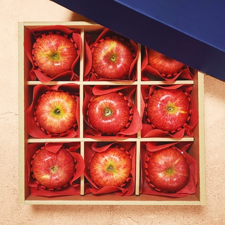 우리 과일 알찬 선물세트 9과 사과 배 샤인머스켓 한라봉 레드향