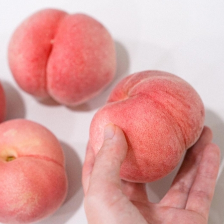 [복숭아] 과즙 가득 진짜 복숭아 황도/백도/딱딱이백도 2kg~4kg