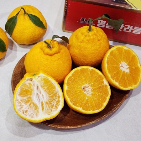 ☆설선물☆ 제주 하우스 한라봉 선물세트 3kg/5kg