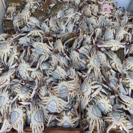 [익산구시장]6시내고향 출연 백년가게 춘포수산 양념게장 1 kg 2 kg