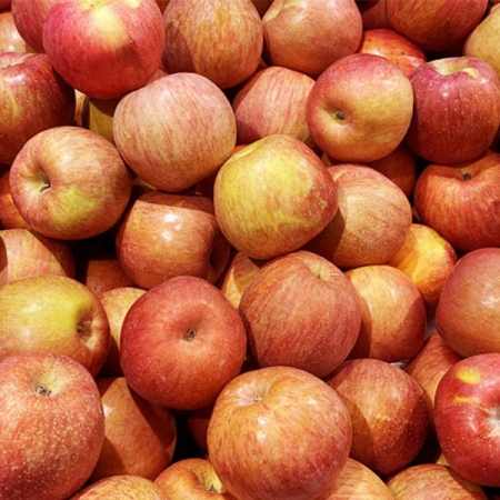 [오커최고] 달콤아삭 부사 사과 1kg 2kg 