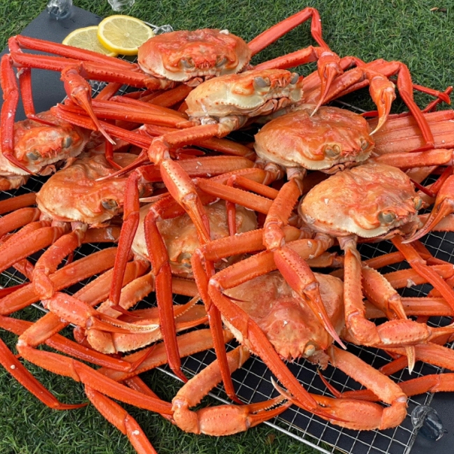 꽉 들어찬 A급 박달홍게 4kg / 6kg