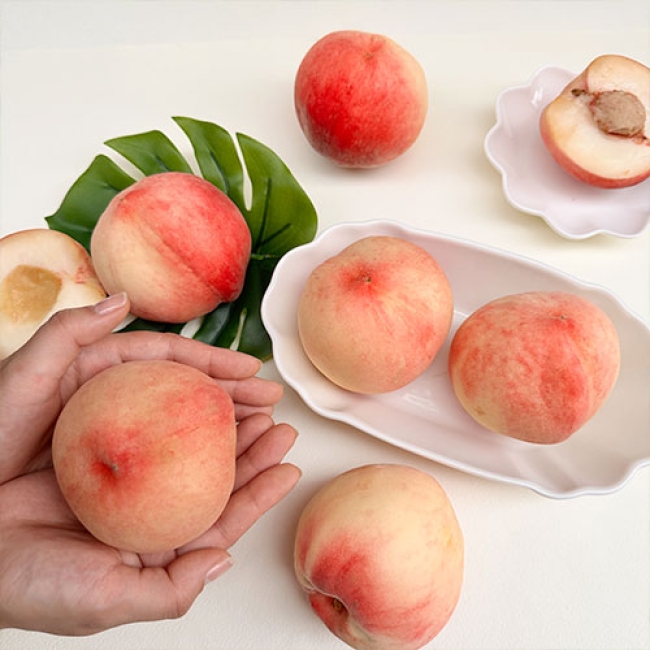하우스 복숭아 500g / 1kg/ 1.5kg_중고과/대과/특대과