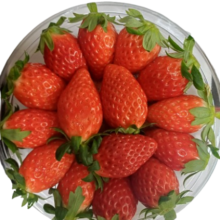 [고흥청과]가락시장직송 장희딸기 500g/1kg