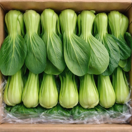 [청경채] 신선함 가득 청경채 샤브샤브 마라탕 무침 500g~4kg