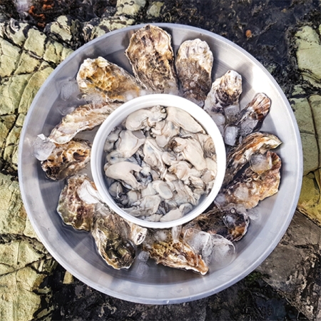 신선함을 그대로  통영 생굴(푸)