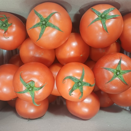 [고흥청과]가락시장직송 완숙토마토 1kg/2.5kg/5kg